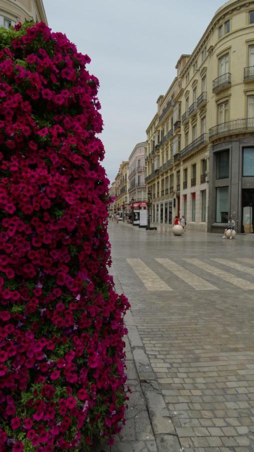 Casa De Las Artes Malaga Ngoại thất bức ảnh